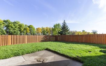 Fenced-in backyard